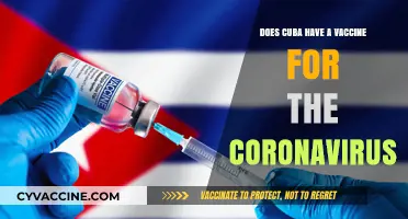 Cuba's COVID-19 Vaccine: What You Need to Know