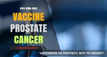 Cuba's Prostate Cancer Vaccine: Breakthrough or Misinformation?