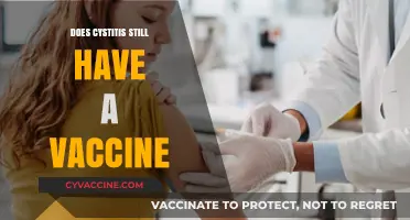 Cystitis Vaccine Availability: Current Status and Prevention Options Explained
