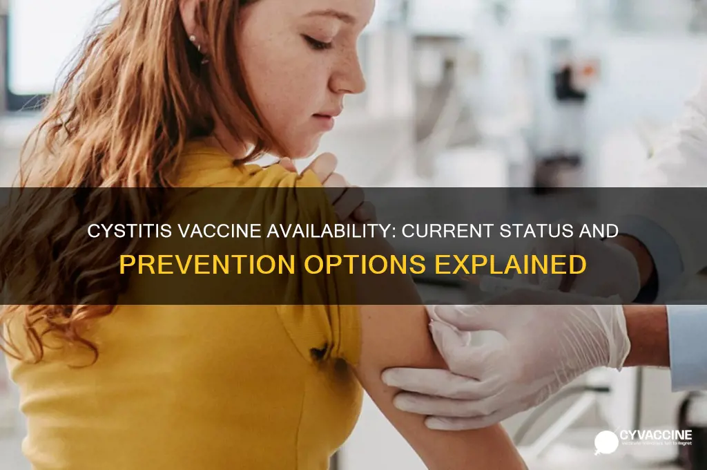 does cystitis still have a vaccine