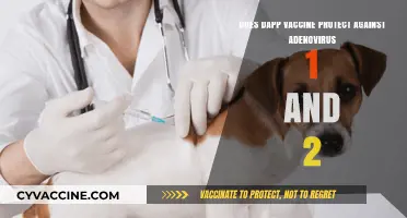 Dapp Vaccine: Effective Protection Against Adenoviruses 1 and 2