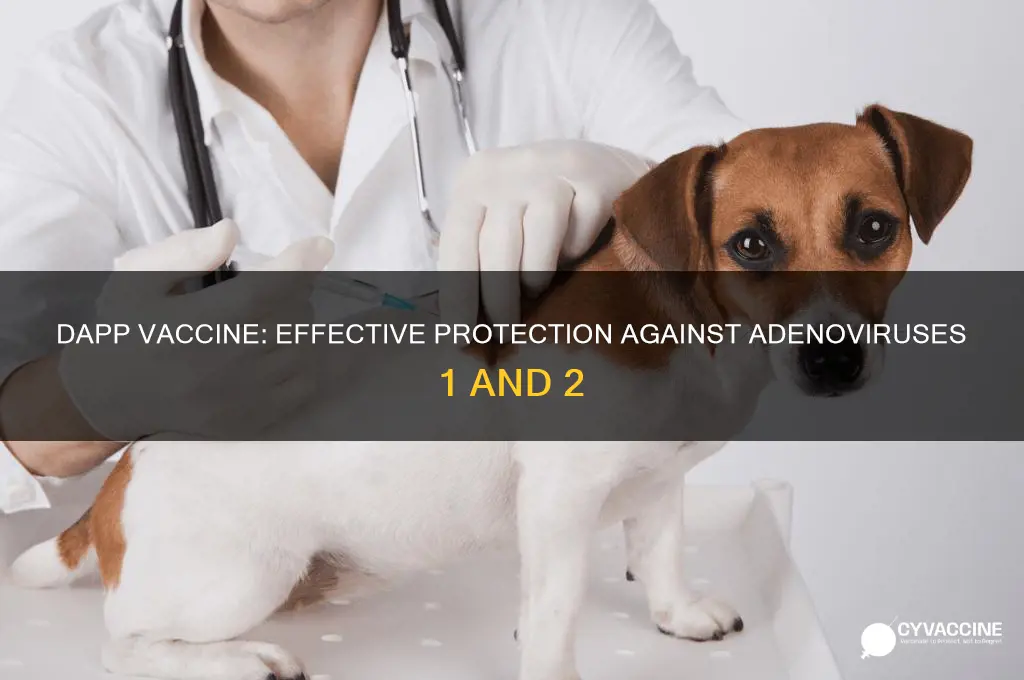 does dapp vaccine protect against adenovirus 1 and 2