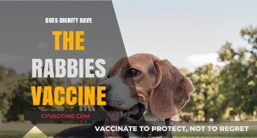 Does Dignity Require a Rabies Vaccine? Exploring the Connection