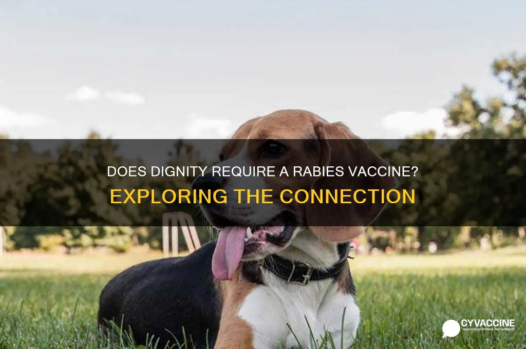 does dignity have the rabbies vaccine