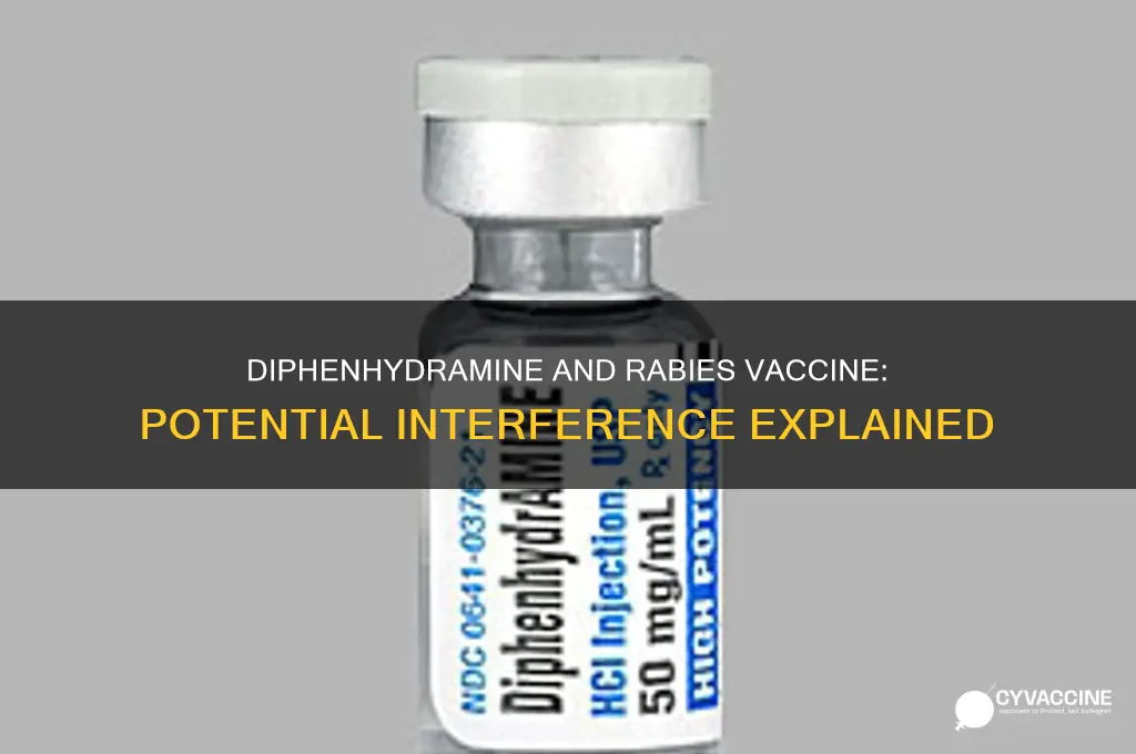 does diphenhydramine interfere with rabies vaccine