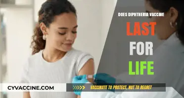 Diphtheria Vaccine Lifespan: Does Immunity Last a Lifetime?