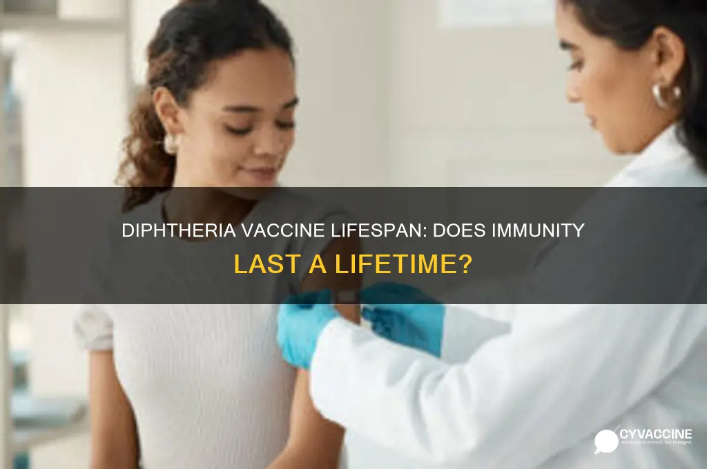 does diphtheria vaccine last for life