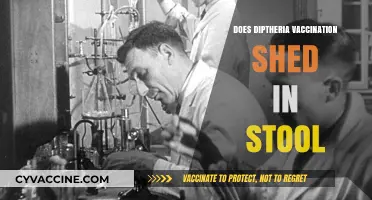 Diphtheria Vaccine Shedding: Fact-Checking Stool Transmission Concerns