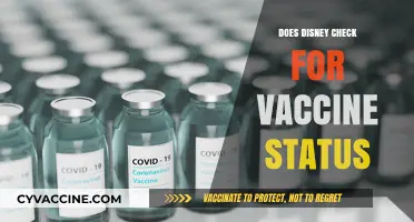 Disney's Vaccine Policy: What You Need to Know Before Visiting