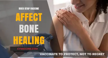 DTaP Vaccine and Bone Healing: Unraveling the Connection and Impact