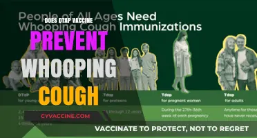Does DTaP Vaccine Effectively Prevent Whooping Cough? Key Insights
