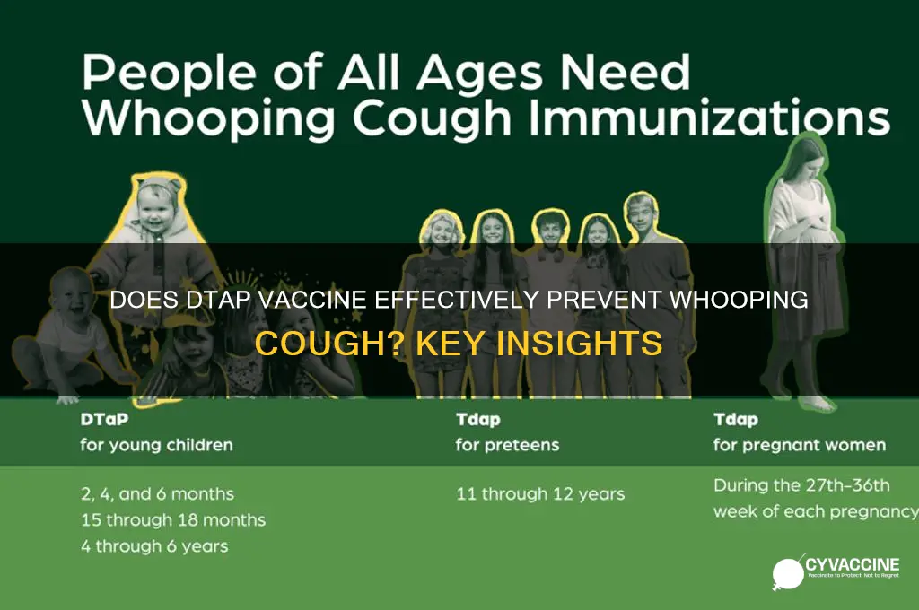 does dtap vaccine prevent whooping cough