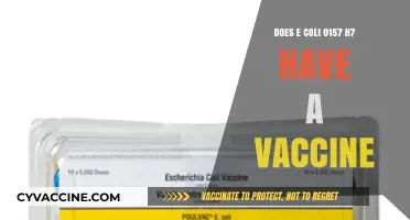 E. coli Vaccine: Is There a Solution for Strain 0157:H7?