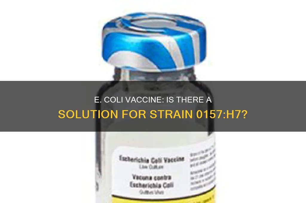 does e coli 0157 h7 have a vaccine