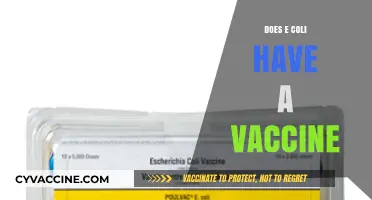 E. Coli Vaccines: Current Status and Future Prospects Explained