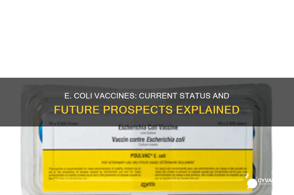 does e coli have a vaccine