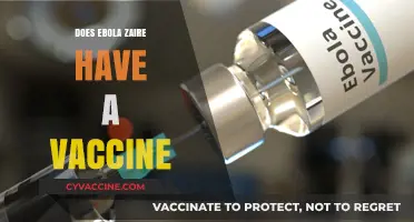 Ebola Zaire Vaccine: Current Status and Developments Explained