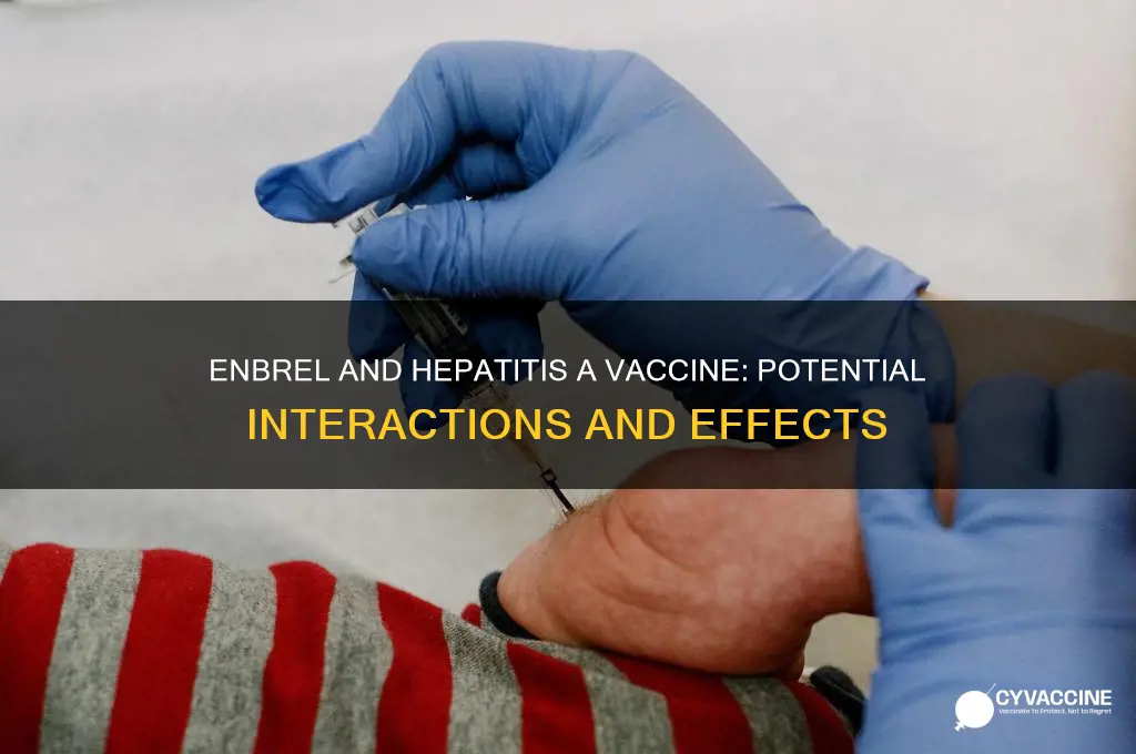 does enbrel affect hepatitis a vaccine