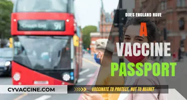 England's Vaccine Passport System: What You Need to Know