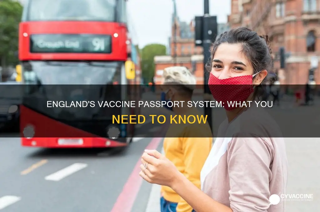 does england have a vaccine passport