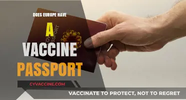 Does Europe Have a Vaccine Passport? Exploring COVID-19 Travel Rules