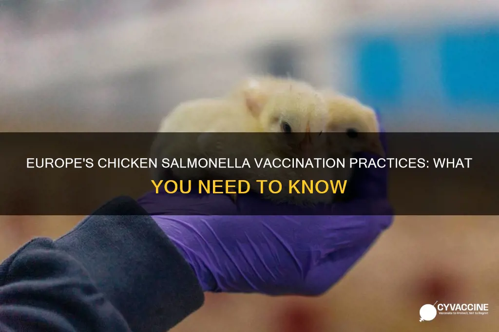does europe vaccinate chickens for salmonella
