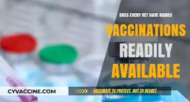 Rabies Vaccinations: Are They Always Available at Vet Clinics?