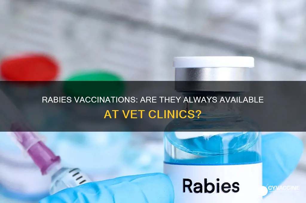 does every vet have rabies vaccinations readily available