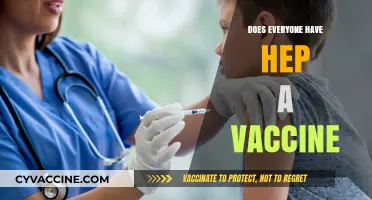 Hepatitis A Vaccination: Is It a Universal Health Requirement?