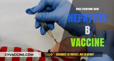 Hepatitis B Vaccine: Is It a Universal Health Requirement?