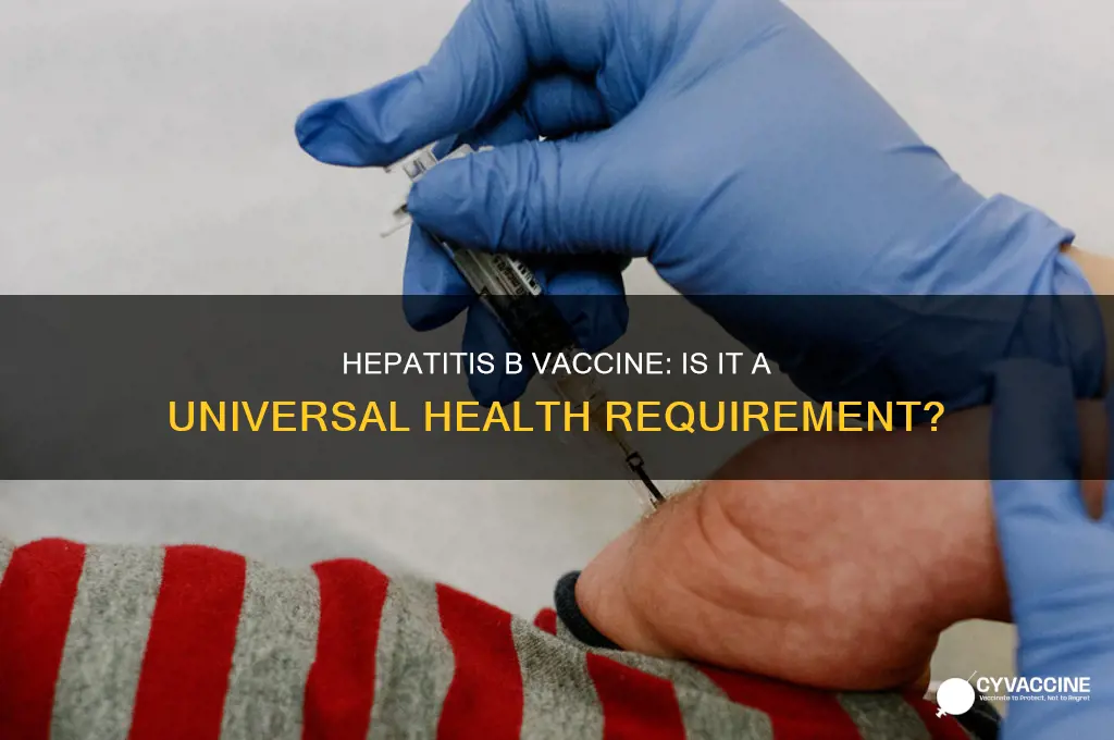does everyone have hepatitis b vaccine
