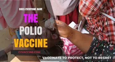 Polio Vaccine: Global Coverage, Accessibility, and Immunization Status Explained