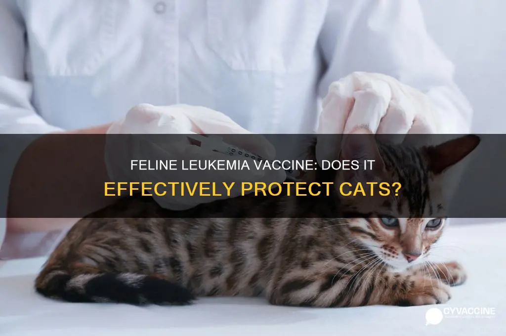 does feline leukemia vaccine protect cats