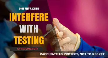Does the FeLV Vaccine Affect Test Results? What You Need to Know