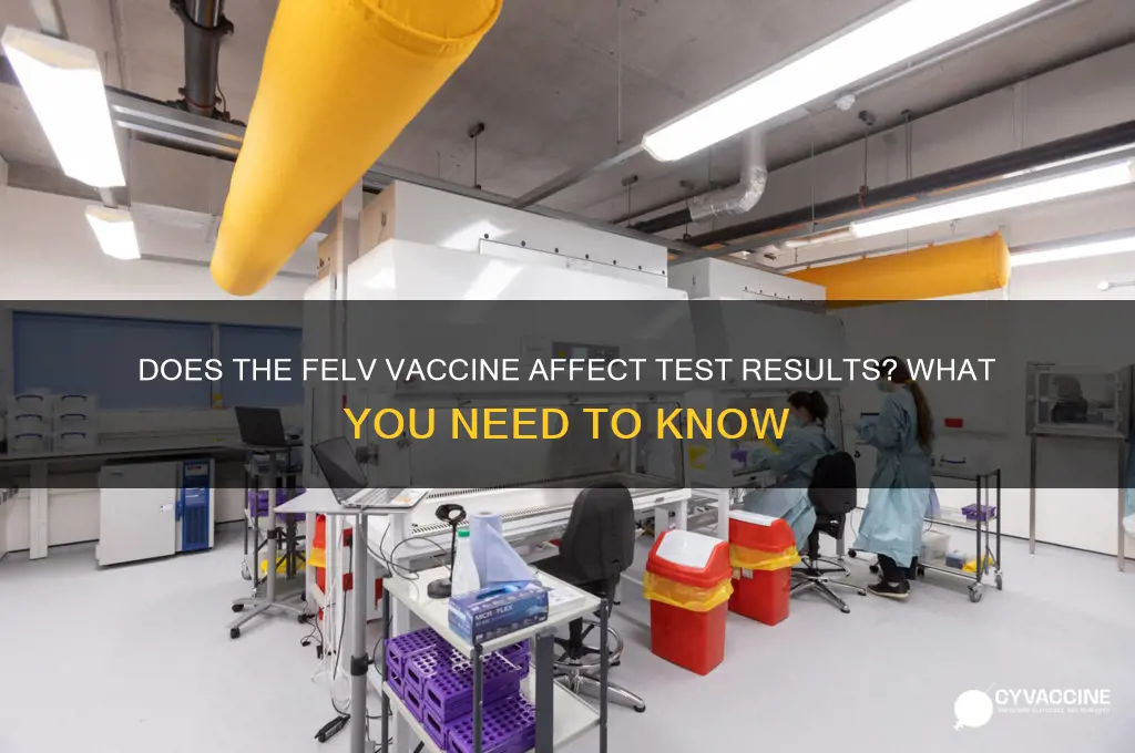 does felv vaccine interfere with testing
