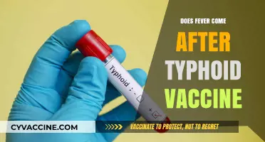 Typhoid Vaccine Side Effects: Understanding Fever Post-Vaccination