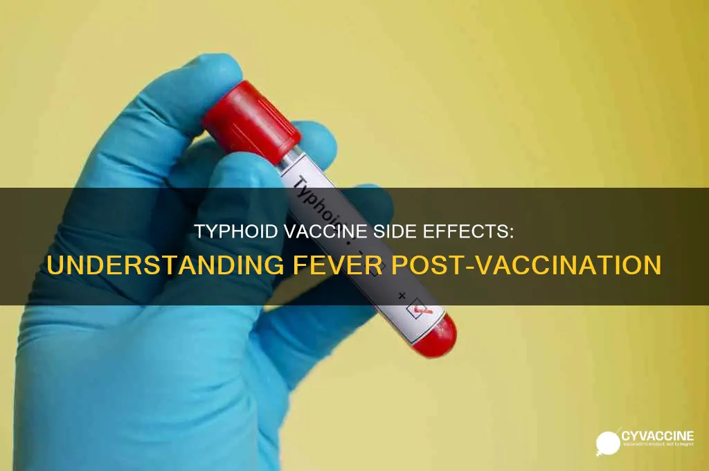 does fever come after typhoid vaccine