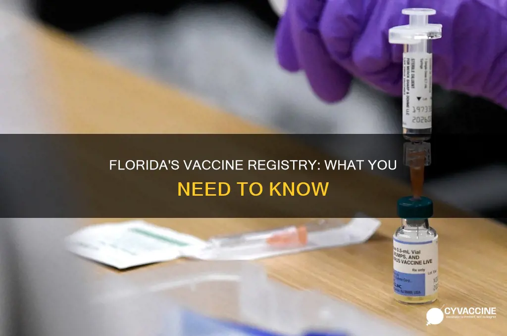 does florida have a vaccine registry