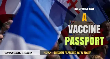 France's Vaccine Passport: Implementation, Impact, and Public Response Explained