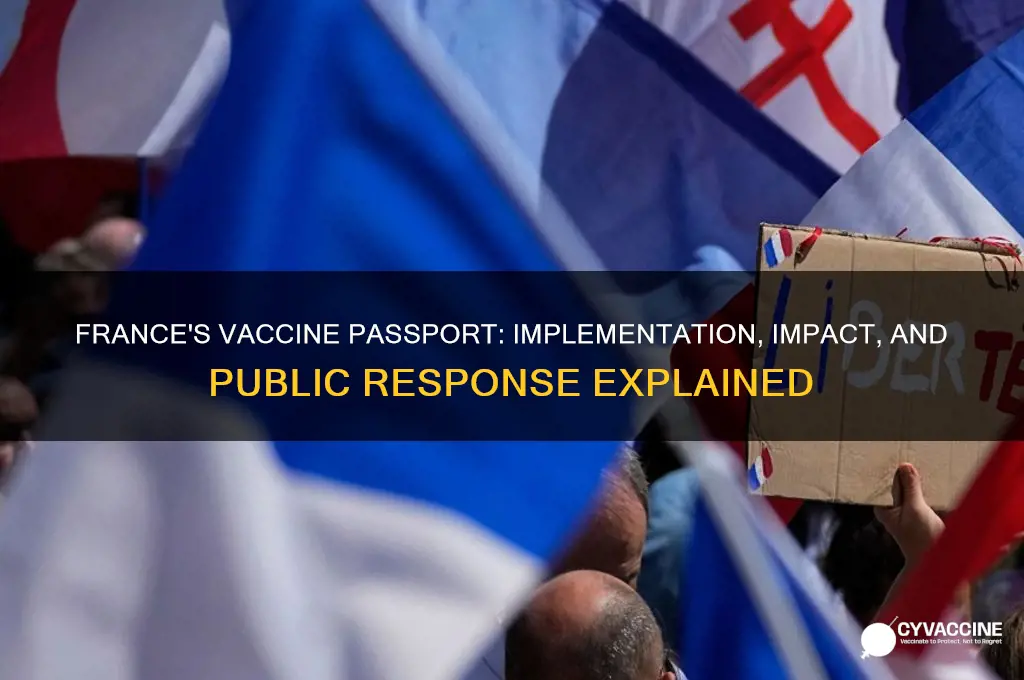 does france have a vaccine passport