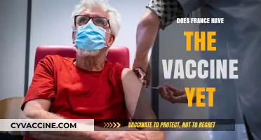 France's COVID-19 Vaccine Rollout: Current Status and Availability Updates