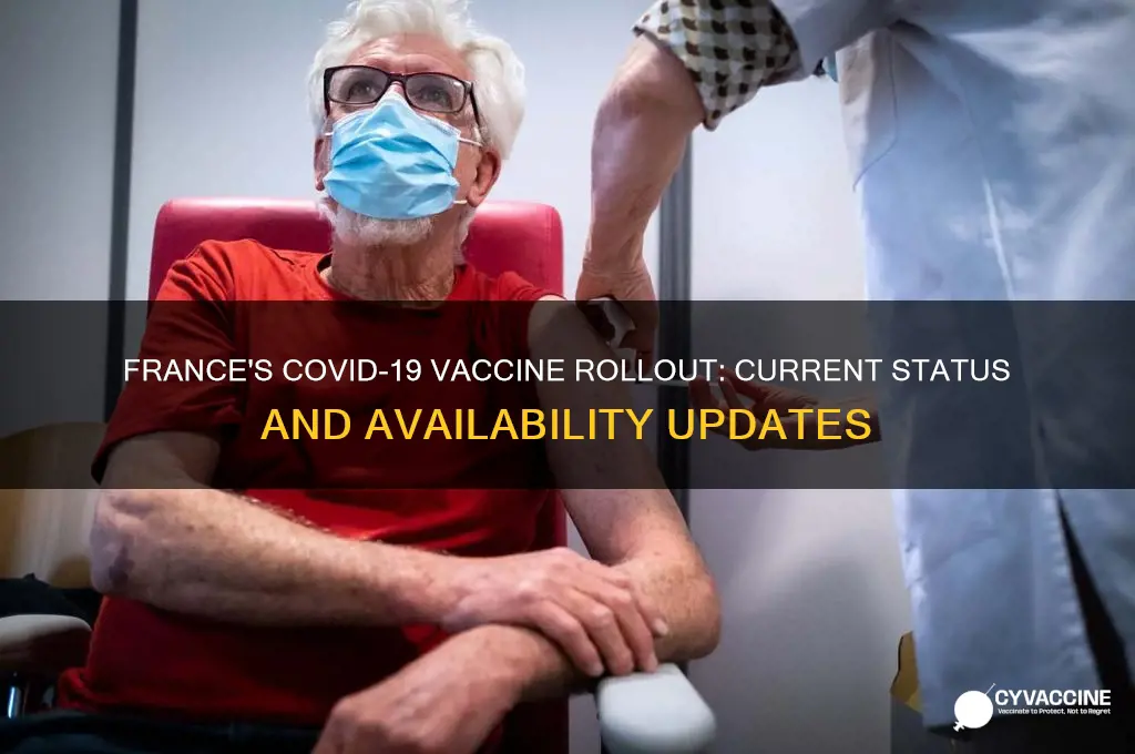 does france have the vaccine yet
