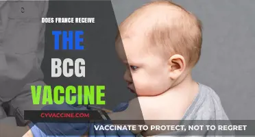 Does France Administer the BCG Vaccine? Exploring National Immunization Policies