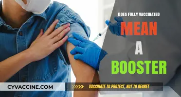 Fully Vaccinated vs. Booster: Understanding COVID-19 Immunity Requirements