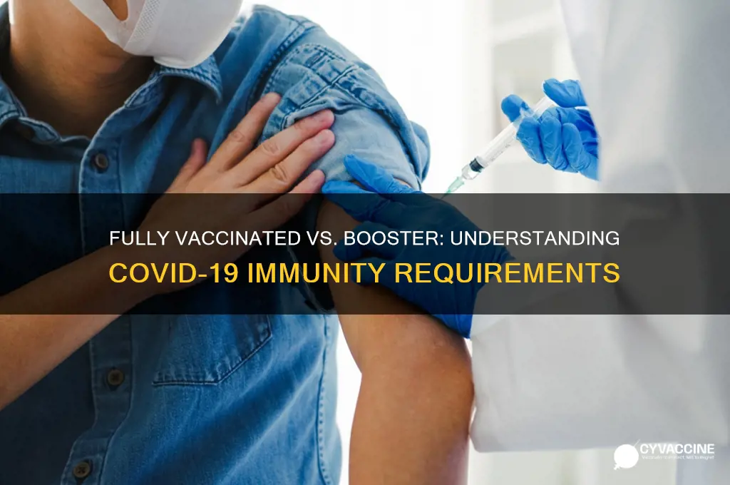 does fully vaccinated mean a booster