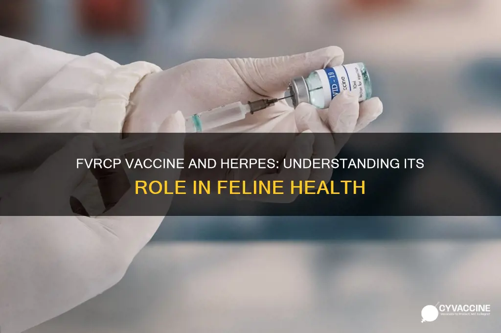 does fvrcp vaccine help for herpes