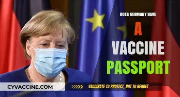 Germany's Vaccine Passport: Implementation, Usage, and Travel Requirements Explained