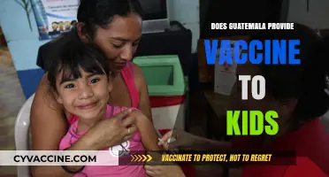 Guatemala's Child Vaccination Program: Access, Availability, and Immunization Efforts