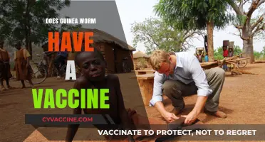 Guinea Worm: Current Status of Vaccine Development and Eradication Efforts