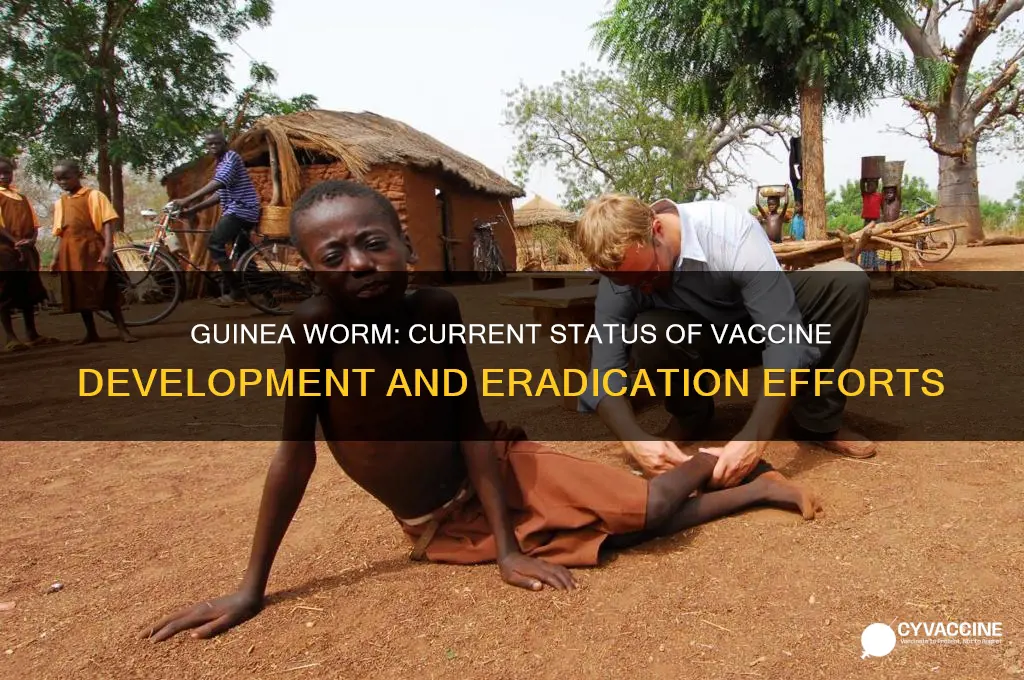 does guinea worm have a vaccine